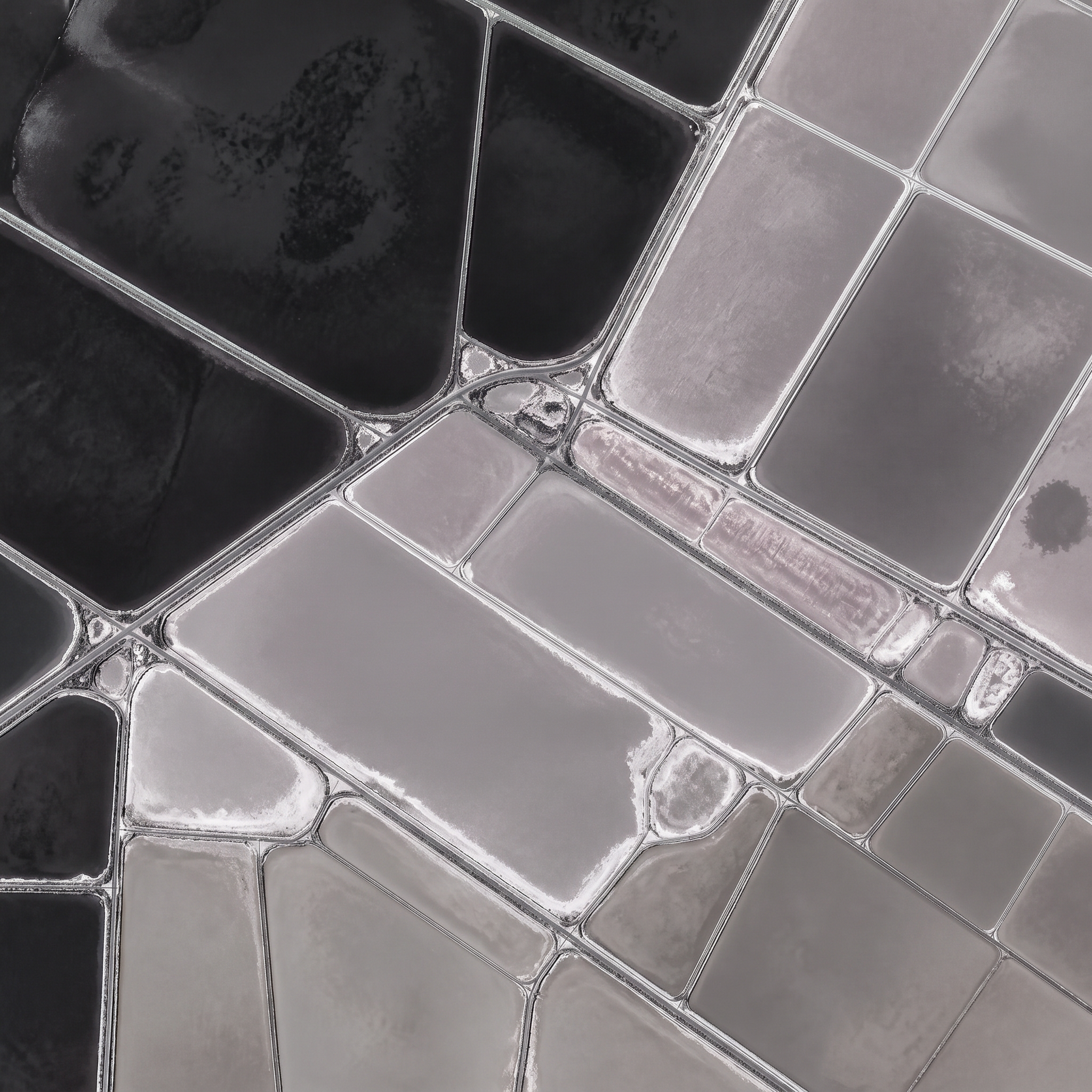 Salt ponds, monochrome state